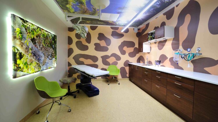 The Leopard Room - Queen Silvia's Childrens' Hospital