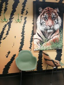 The Tiger Room - Queen Silvia's Childrens' Hospital
