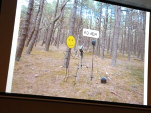 So, what about the speech intelligibility in Swedish forests? 