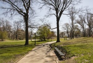 Urban parks, such as Central Park in NY, are an important part of the city.