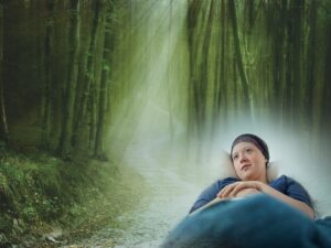 Hospital bed with patient in a bamboo forrest. Using music to improve the sound environment.