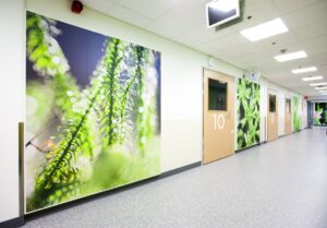 Acoustic wall panels as a part of the design 