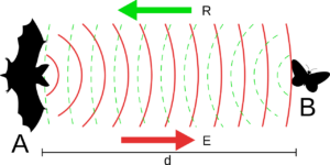 Echolocation Diagram