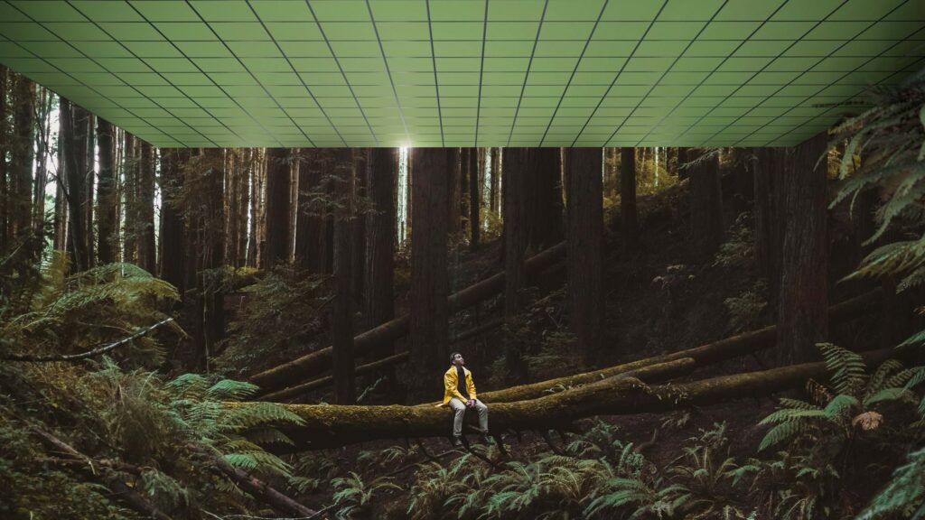 Man in forest with acoustic ceiling digitally added in